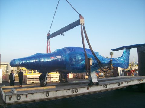 גלובוס, אחסנה ולוגיסטיקה, מָטוֹס